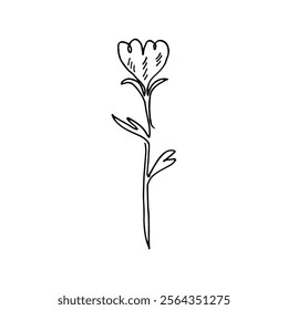Simple cartoon doodle line drawing of a flower on a white background.