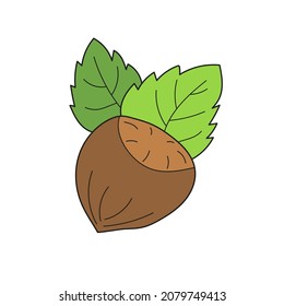 Simple cartoon icon. Cozy vector hazelnut. Colored hazelnut with leaves isolated on a white background. Vector hand drawn illustration