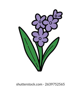 Simple cartoon illustration of a hyacinth flower with purple petals and a black outline, supported by green leaves, set against a clean white background.