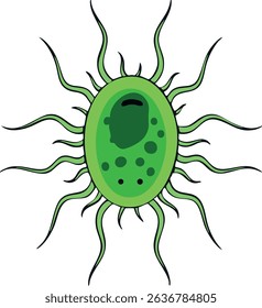 Simple Cartoon Paramecium Cells on White Background