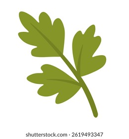 Simples desenho animado salsa herb ramo para cozinhar e decoração, isolado, estilo de comida vetor plano.