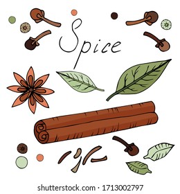 Simple cartoon style set illustration. Vector spice, star anise, Vanilla stick, bay leaf, mint, cloves, peas isolated on white background. Design Element for books, magazines, textiles
