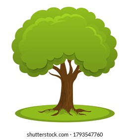 Simple cartoon summer tree with flat crown