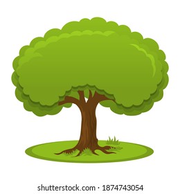 Simple cartoon summer tree with flat crown