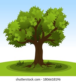 Dibujo simple árbol de verano con hojas verdes