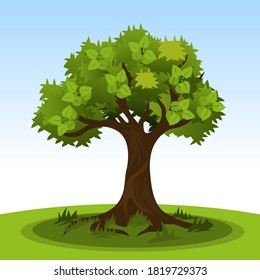 Dibujo simple árbol de verano con hojas verdes