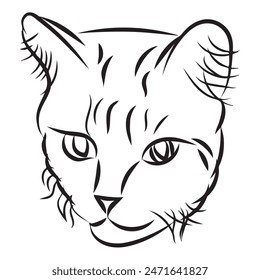 A simple cat in doodle style. Vector illustration isolated on white background.