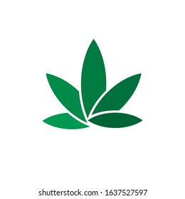 Simple CBD cannabis leaf icon logo design inspiration vector template
