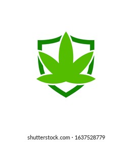 Simple CBD cannabis leaf icon shield logo design inspiration vector template
