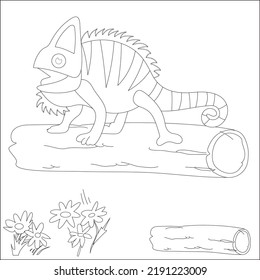 Diseño de la línea de camaleón