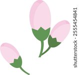Simple cherry blossom bud illustration
