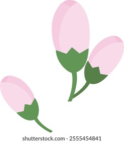 Simple cherry blossom bud illustration