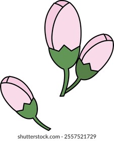 Simple cherry blossom bud illustration