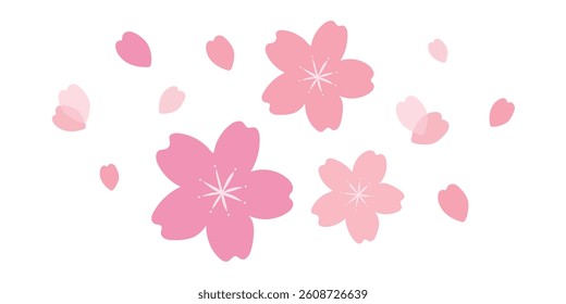 Simple cherry blossom flower pink flower for cards and wedding decorations, spring flower isolated on white background