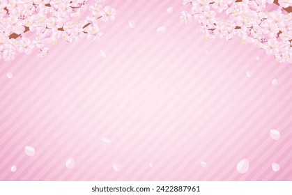 Simple cherry blossom trees, branches and cherry blossoms in full bloom, spring frame with blank space.