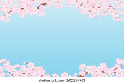 Simple cherry blossom trees, branches and cherry blossoms in full bloom, spring frame with blank space.