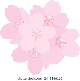 Simple cherry blossom vector illustration.