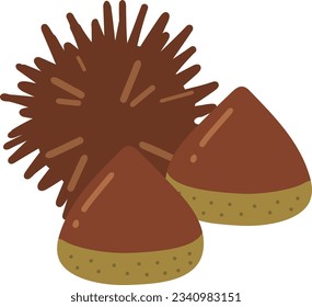 Simple Chestnut and Acorn Illustration