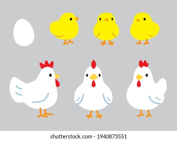 Simple chicken and chick illustration