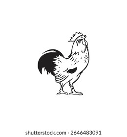 simple chicken icon illustration design, cute hen symbol