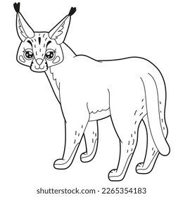 Simple children's coloring book cute desert animal character caracal, linear simple drawing with ornamental patterns. Design for children's creativity, material for learning.