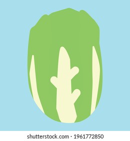 Simple Chinese Cabbage Clipart, Flat Design