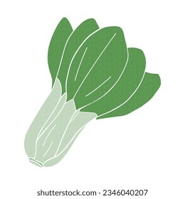 Simple Chinese cabbage vector material