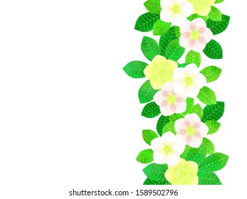 Simple christmas rose illustration background, watercolor style, natural