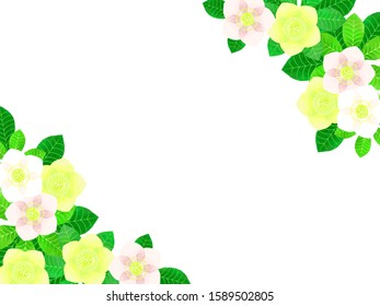 Simple christmas rose illustration background, watercolor style, natural