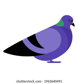 Simple city pigeon. Dove. Lilac bird, side view, profile. Symbol of peace and kindness. Modern vector illustration.