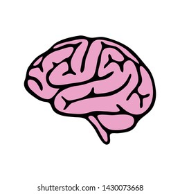 brain icon