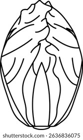 Simple and Clean Chinese cabbage Line Art