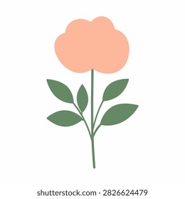 Simple and clean digital illustration of a cotton flower with green leaves, emphasizing natural beauty and botanical simplicity.