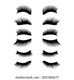 simple clean and elegant eyelashes