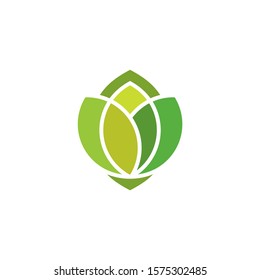 simple and clean green leaves logo