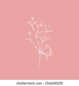 Simple and clean hand drawn floral. White sketch on pink background. Great for invitation, greeting card, packages, wrapping, etc. Botanical illustration design.