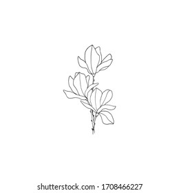 Simple and clean hand drawn floral. Sketch style illustration. Great for packages, wrapping, premade logo, business card, stationery, invitation, greeting card,etc.