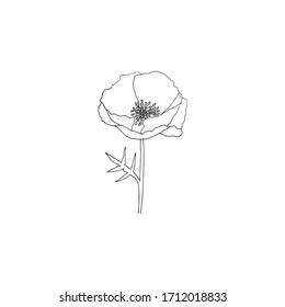 Simple and clean hand drawn floral. Sketch style illustration. Great for packages, wrapping, premade logo, business card, stationery, invitation, greeting card,etc.