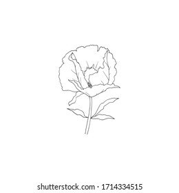 Simple and clean hand drawn floral. Sketch style illustration. Great for packages, wrapping, premade logo, business card, stationery, invitation, greeting card,etc.