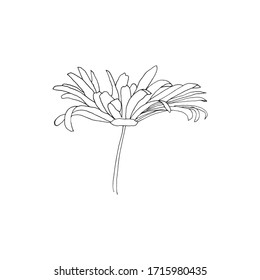 Simple and clean hand drawn floral. Sketch style illustration. Great for packages, wrapping, premade logo, business card, stationery, invitation, greeting card,etc.