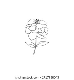 Simple and clean hand drawn floral. Sketch style illustration. Great for packages, wrapping, premade logo, business card, stationery, invitation, greeting card,etc.