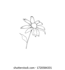 Simple and clean hand drawn floral. Sketch style illustration. Great for packages, wrapping, premade logo, business card, stationery, invitation, greeting card,etc.
