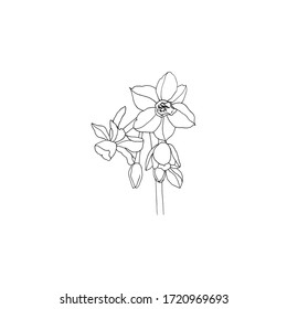 Einfache und saubere handgezeichnete Blumen. Sketch-Style-Illustration. Ideal für Pakete, Umhüllung, vorgefertigtes Logo, Visitenkarte, Schreibwaren, Einladung, Grußkarte, etc.