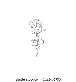 Simple and clean hand drawn floral. Sketch style illustration. Great for packages, wrapping, premade logo, business card, stationery, invitation, greeting card,etc.