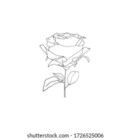 Simple and clean hand drawn floral. Sketch style illustration. Great for packages, wrapping, premade logo, business card, stationery, invitation, greeting card,etc.