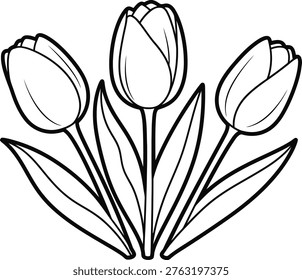 A simple, clean line drawing depicting three tulip flowers with slender stems and pointed leaves.