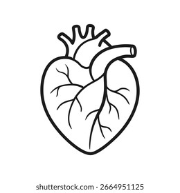 Un contorno simple y limpio de un corazón humano presentado como un icono, aislado sobre un fondo blanco para una fácil integración.