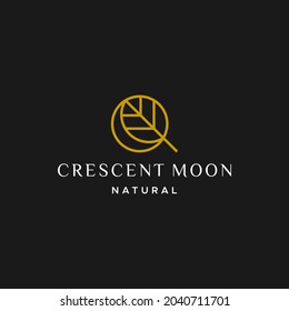A simple, clean and unique logo about the crescent moon and nature.
EPS 10, Vector.