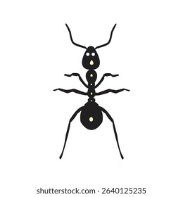 A simple and clear top-down cartoon illustration of a black ant, showcasing its segmented body and antennae