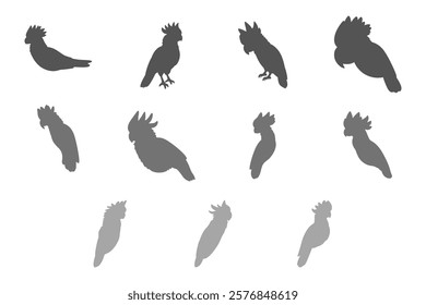 Simple Cockatoo Illustration Design Set